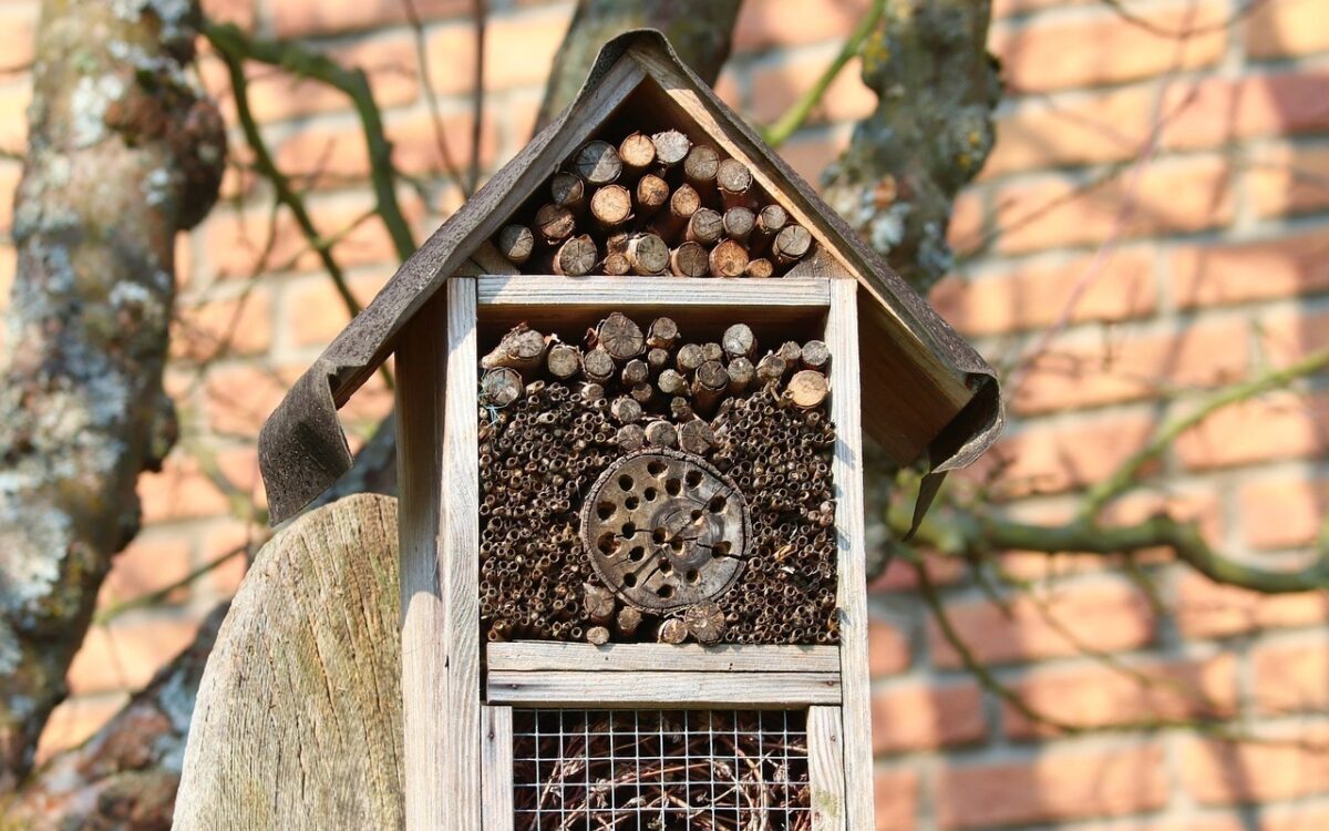 Ein Insektenhotel mit verschiedenen Ebenen es sieht aus wie ein kleines Häuschen Ein Insektenhotel mit verschiedenen Ebenen es sieht aus wie ein kleines Häuschen